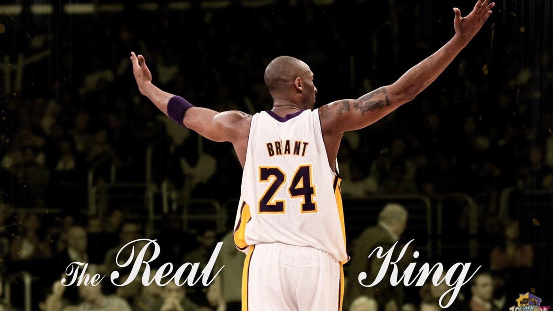 NBA比赛最后一秒绝杀全场沸腾